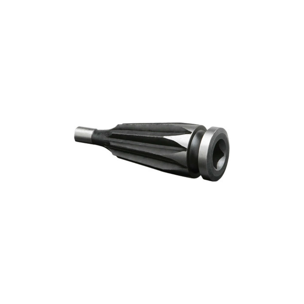 Piñon